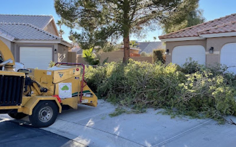 Casino Tree Service and landscaping LLC