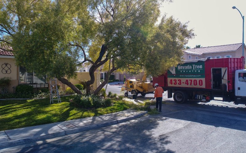 Nevada Tree Service