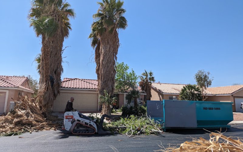 Troy's Tree Service