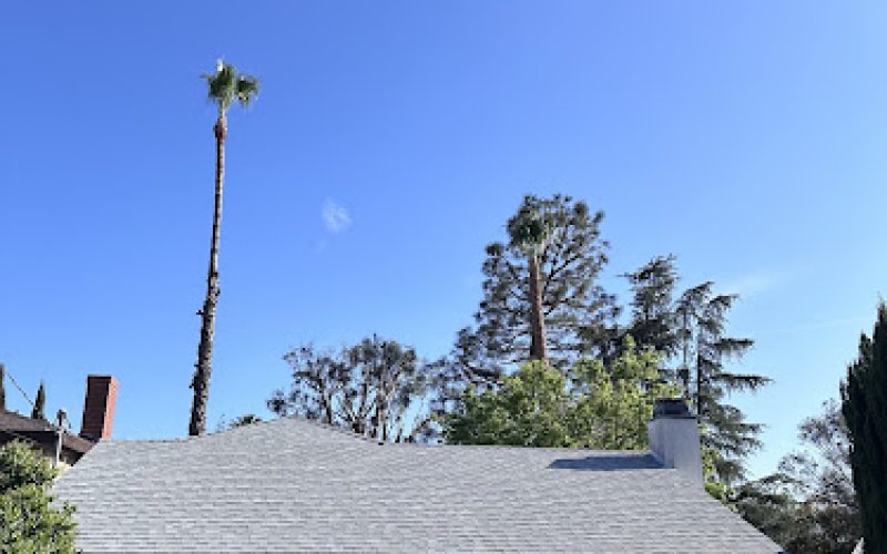Happy's Tree Services