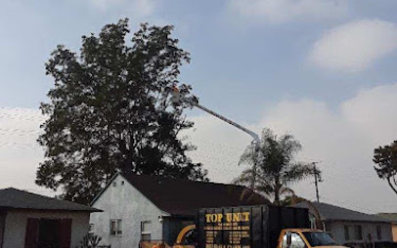 Top Unit Tree Service