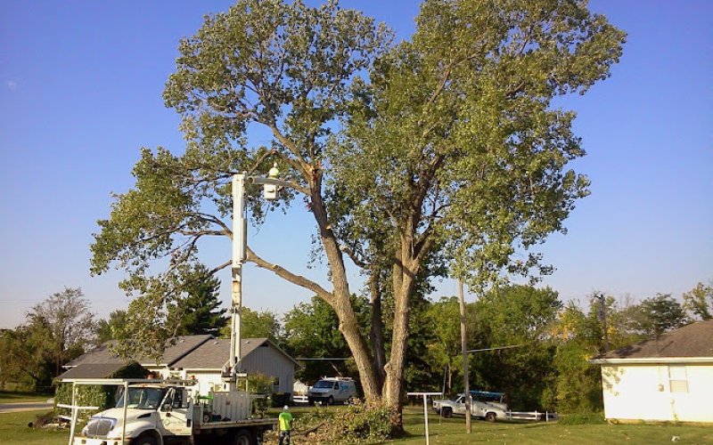 Arbor Masters of Oklahoma City