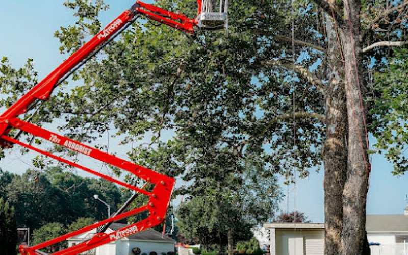 Gosiak Tree Care