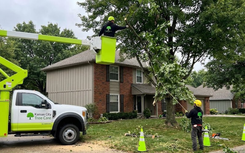 Kansas City Tree Care LLC