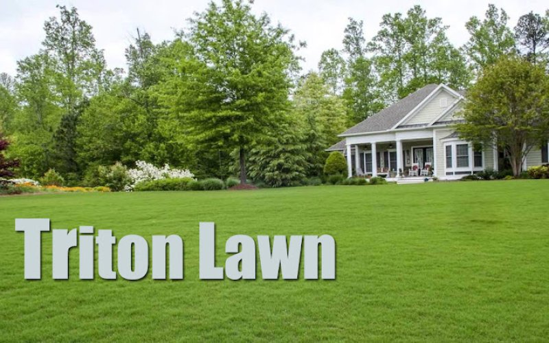 Triton Lawn