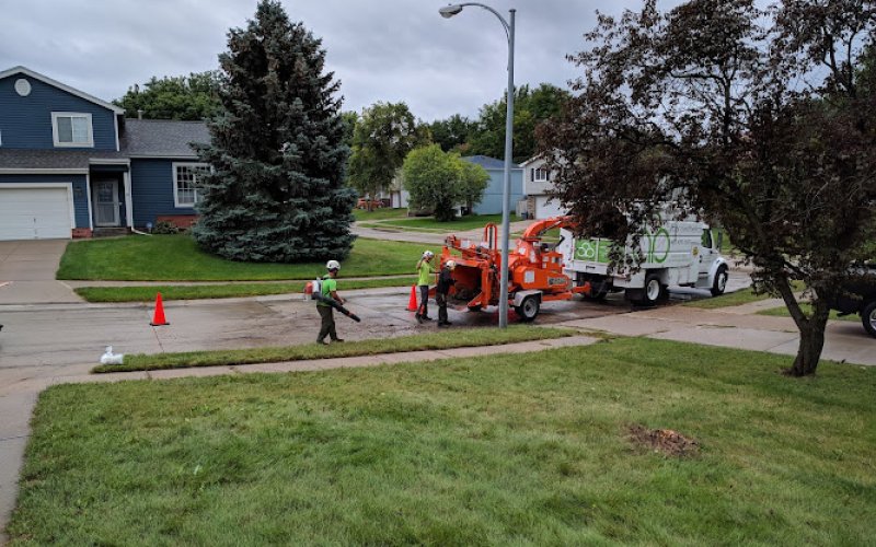 Arbor Aesthetics Tree Service