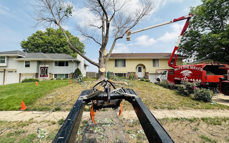 Vinnys Tree Service