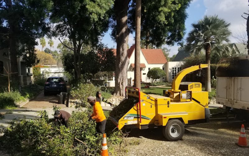 Parcero Tree Service