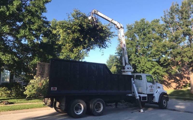 Bly's Tree Care LLC