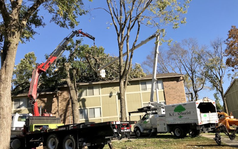 K. C. Arborist