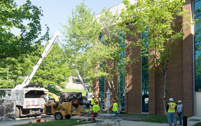 KC Tree Services LLC