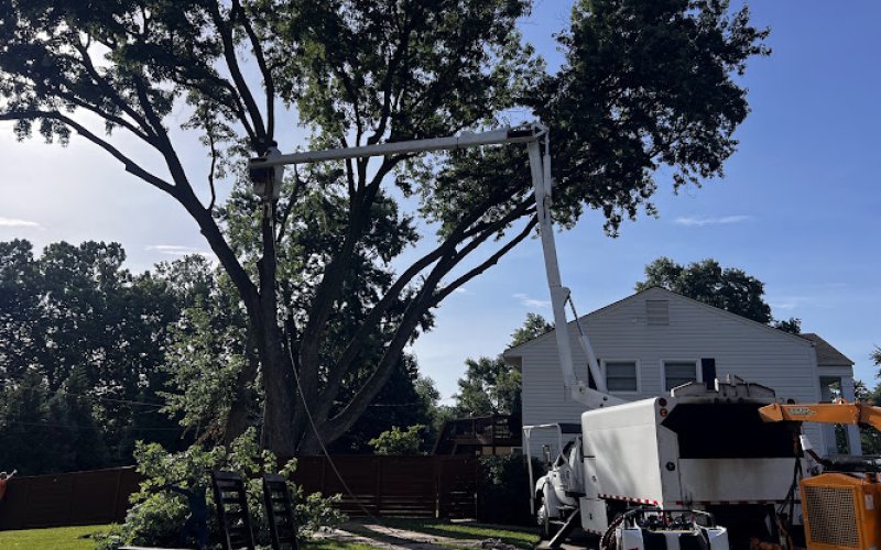 Tornado Lawn and Tree Service In Kansas City