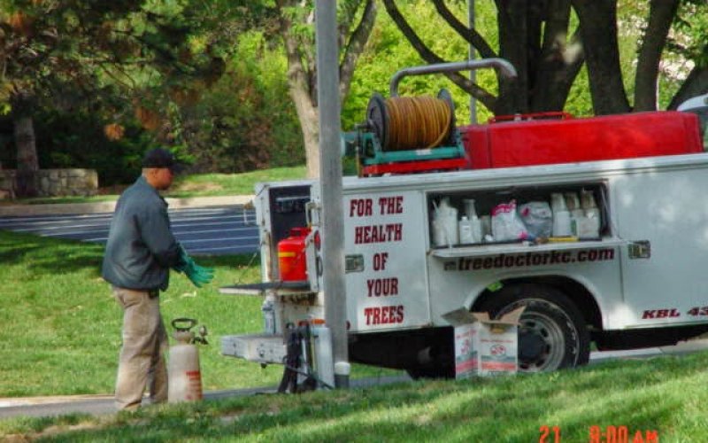Tree Doctor of Kansas City, LLC