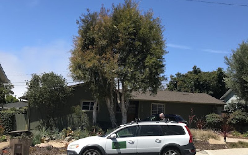 Arbo Lo co. Tree Care