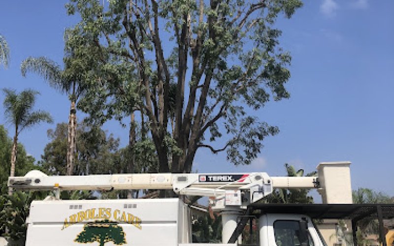 Arboles Care Tree Sevice, Inc.