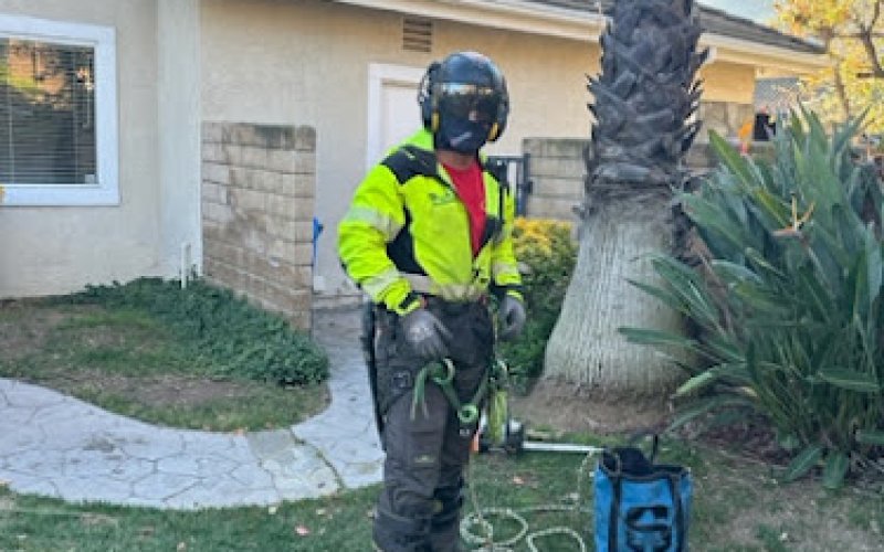 Seaview Tree Service