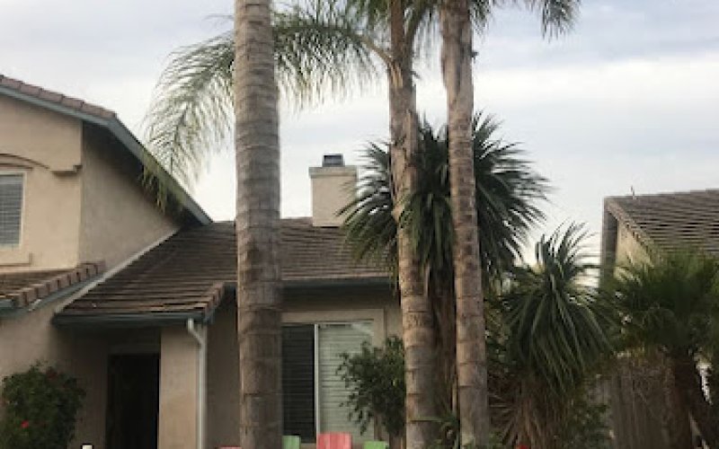 Silver Tree Service Inc.