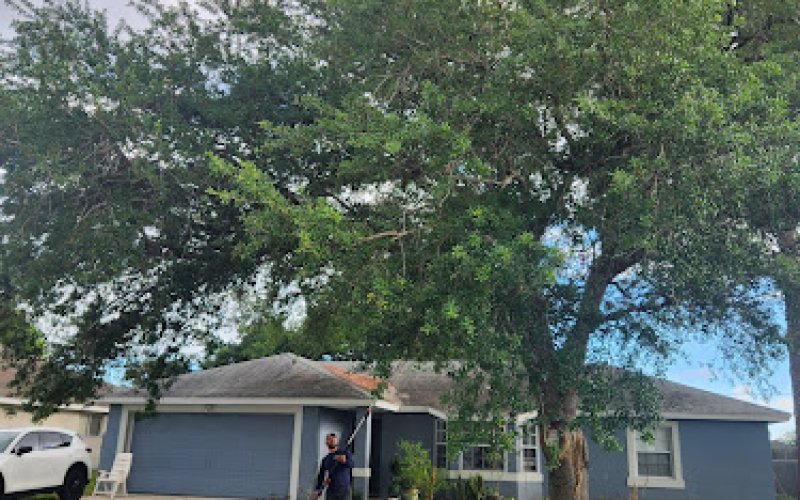 Palm Bay Best Tree Service. LLC — Tree service in Palm Bay