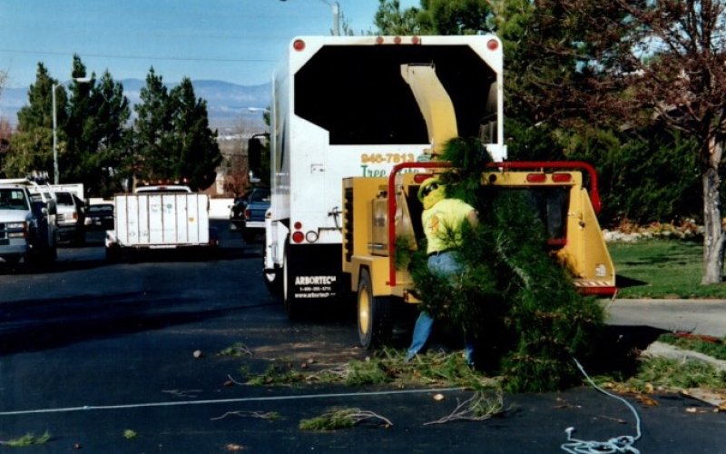 Tree Rite Arborists — Tree service in Palmdale