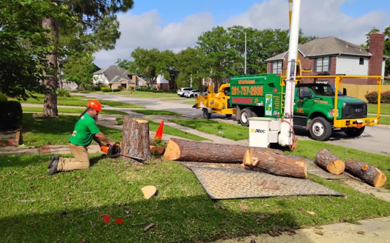 GULF COAST TREE REMOVAL - ISA Certified Arborist