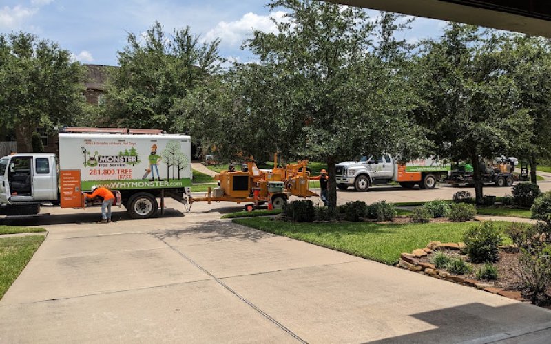 Monster Tree Service of Texas Gulf Coast
