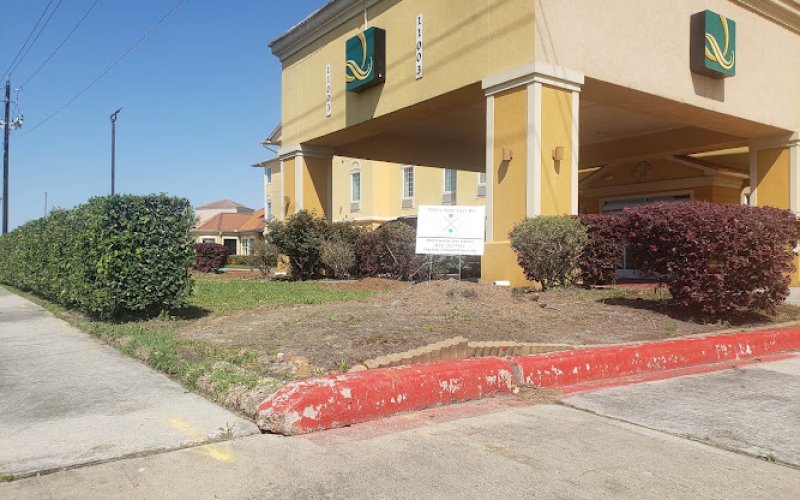 Tree Solutions of Texas