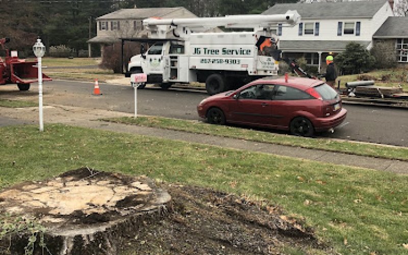 JG Landscaping & Tree Service