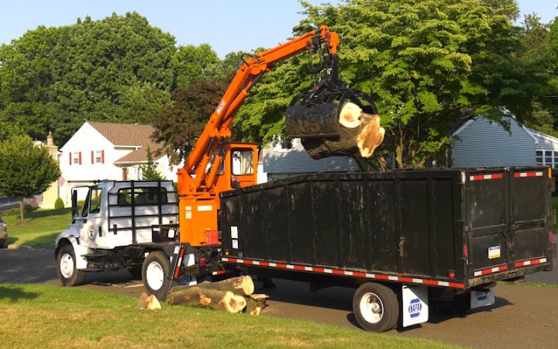 Liberty Tree Service
