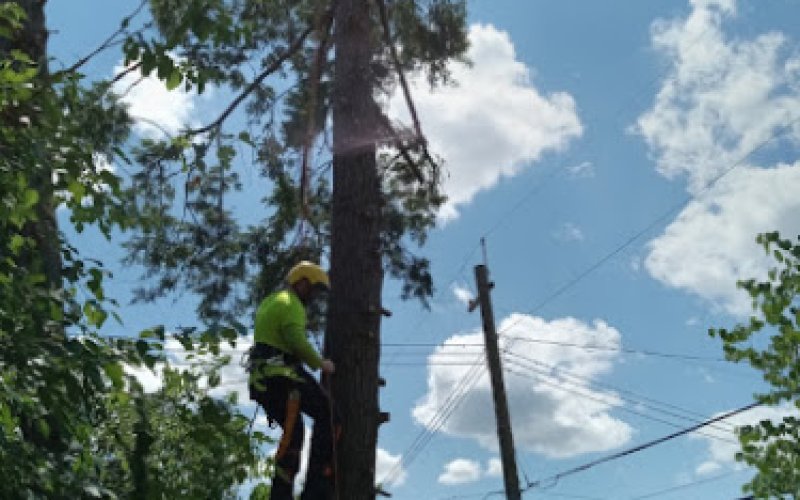 Howell Tree Care