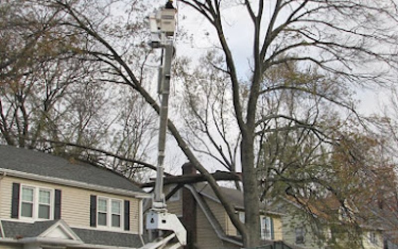 Rich Tree Service, Inc.