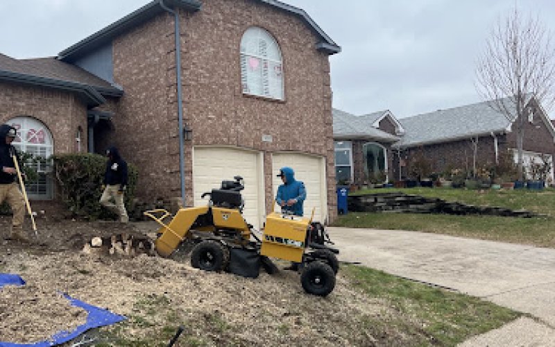 Carlos Tree Service