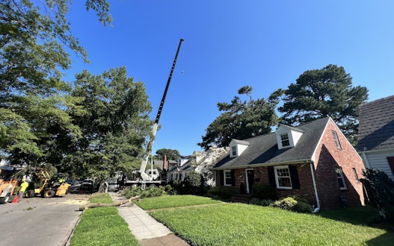Arbor Tree Care Inc.