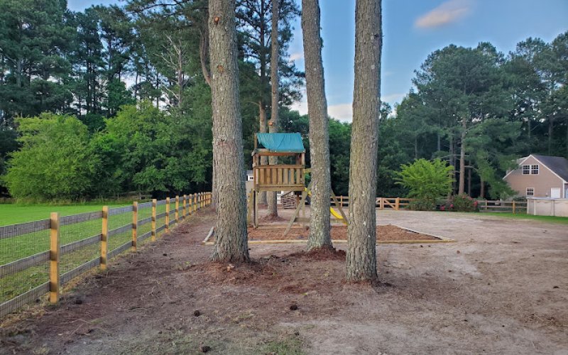 Chesapeake Bay Tree, Inc.