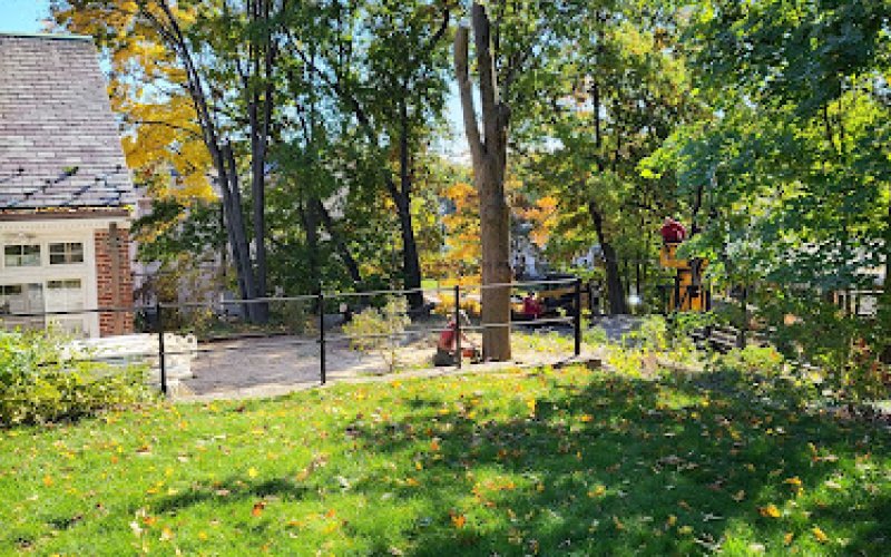 ABOVE & BEYOND - Tree Service, LLC