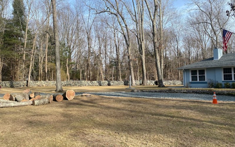 ED Professional Tree Service