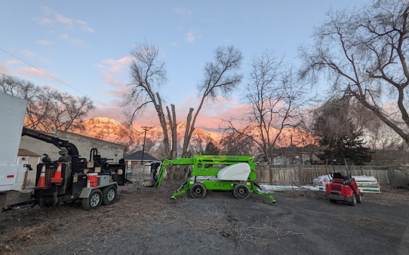 Climbers Tree Care