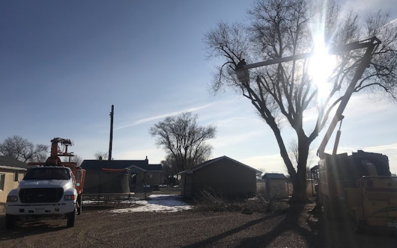 Charles and Charles Tree Service — Tree service in Pueblo