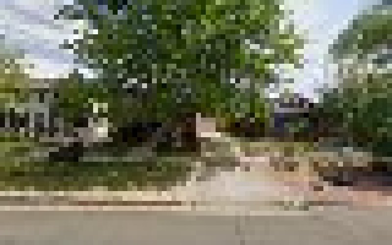Pueblo Tree Specialists — Tree service in Pueblo