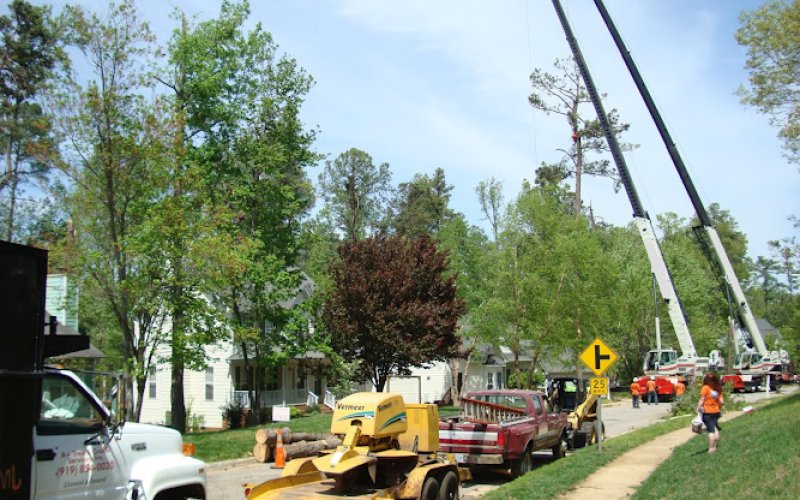 A+ Tree & Crane Services — Tree service in Raleigh