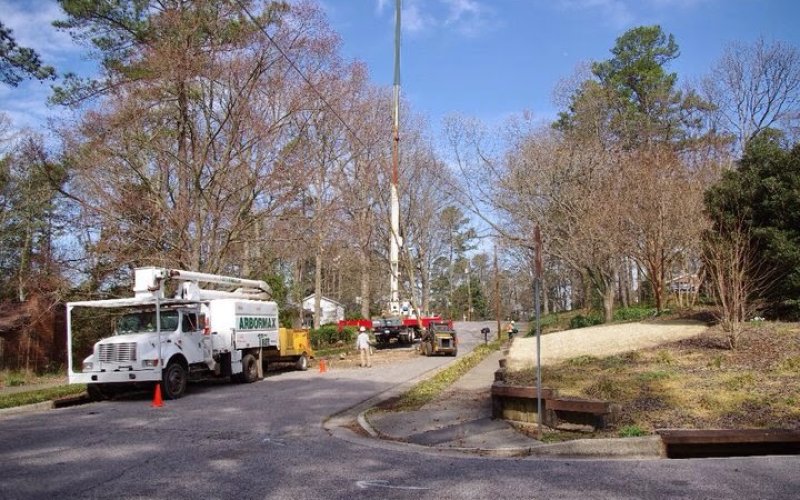 ArborMax Tree Service — Tree service in Raleigh