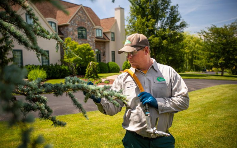 Joshua Tree Experts — Tree service in Raleigh