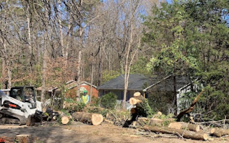 Triangle Tree Pros — Tree service in Raleigh
