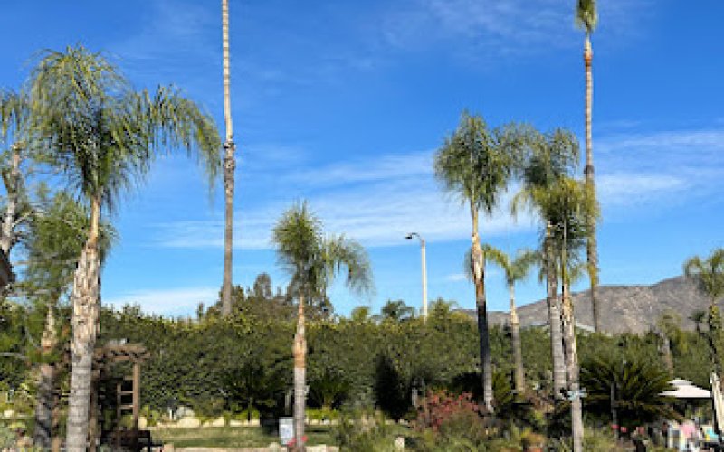 Excellent Tree Service, Inc.