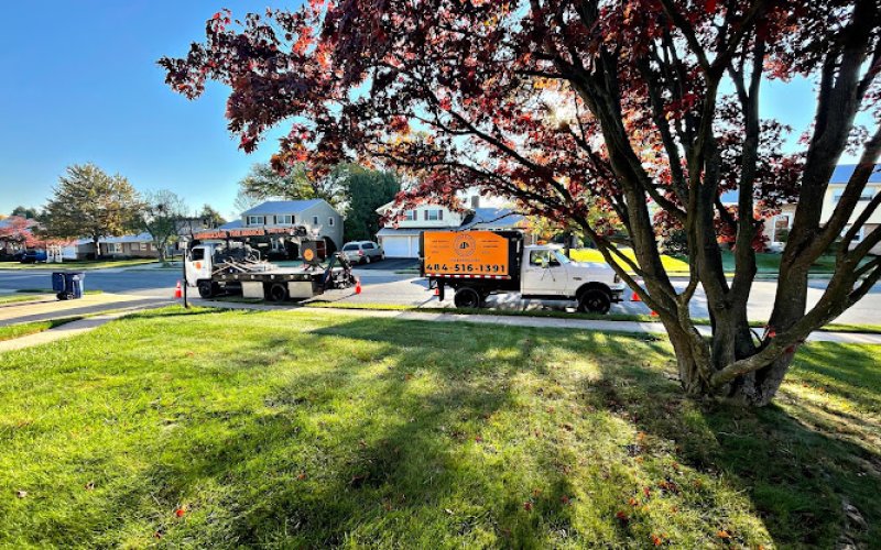 Lumberjays Landscaping Tree Services