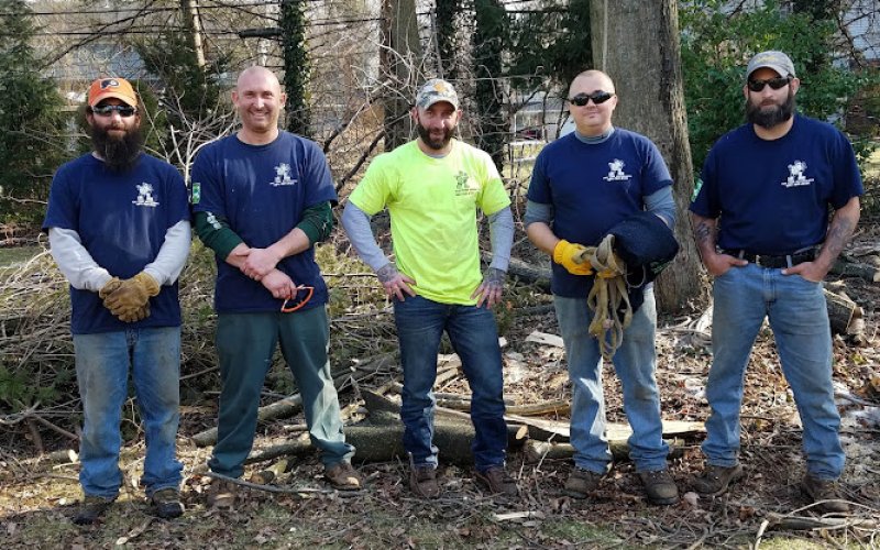 T&N Tree Naturalists