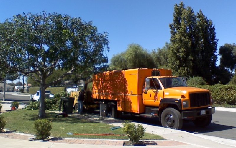 Arbor Enterprise Tree Service