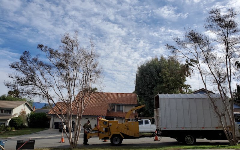 Endless Tree Service