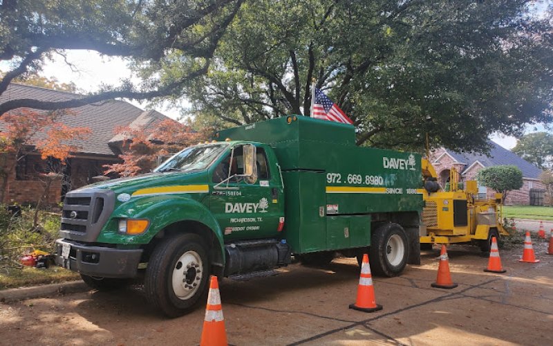 The Davey Tree Expert Company — Tree service in Richardson