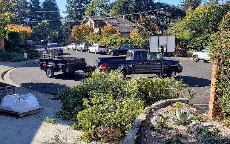 Ubaldino Tree Service LLC