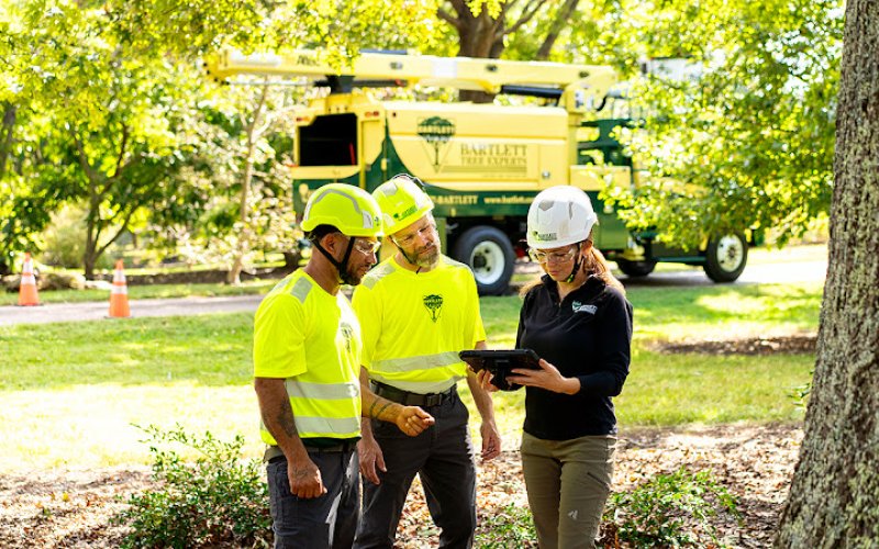 Bartlett Tree Experts